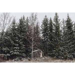 En sten under snön i en skog · Fine Art