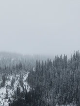 Ladda upp bild till gallerivisning, Snöpenslar + snö-overlay's till Photoshop