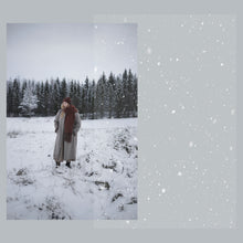 Ladda upp bild till gallerivisning, Snöpenslar + snö-overlay&#39;s till Photoshop
