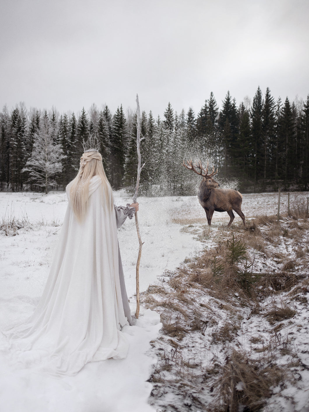 Drottningen av Vintern · Fine Art